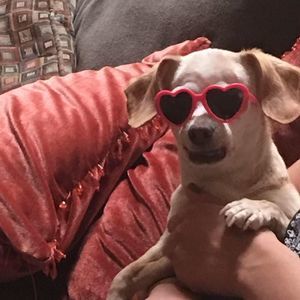 Meet your Posher, Michelle